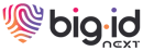 BigID inc.
